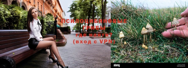 ALPHA PVP Ростов