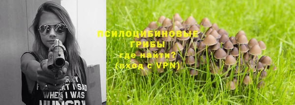 метадон Алексеевка