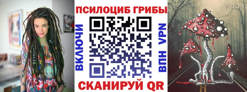 купить наркоту  Далматово  Галлюциногенные грибы прущие грибы 